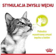 Royal Canin Sensory Smell V Omáčce Krmivo Mokré Pro Dospělé Kočky Sáček