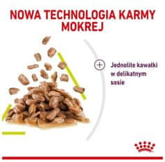 Royal Canin Sensory Smell V Omáčce Krmivo Mokré Pro Dospělé Kočky Sáček