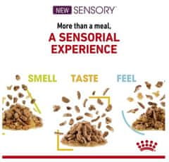 Royal Canin Sensory Smell V Omáčce Krmivo Mokré Pro Dospělé Kočky Sáček