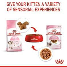 Royal Canin  Kitten V Želé Krmivo Mokré Pro Koťata Do 12 Měsíců