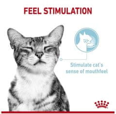 Royal Canin  Sensory Feel V Omáčce Krmivo Mokré Pro Dospělé Kočky Sáček 8