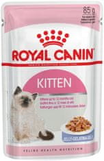 Royal Canin  Kitten V Želé Krmivo Mokré Pro Koťata Do 12 Měsíců