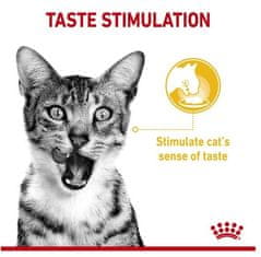 Royal Canin  Sensory Taste V Omáčce Krmivo Mokré Pro Dospělé Kočky Sáček