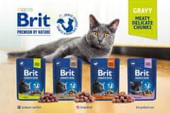 Brit Premium By Nature Cat Sterilised Salmon Omáčka Sáček 100G