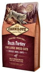 Carnilove Cat Duck & Turkey For Large Breed - Kachna A Krůta 2Kg
