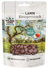 ALL FOR CATS Wildes Land Cat Knuspersnack Lamm & Apfel 50G