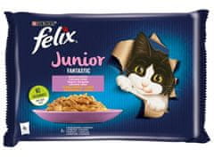 ALL FOR CATS Felix Fantastic Junior Kuře/Losos V Želé Sáčky 4X85G