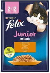 ALL FOR CATS Felix Fantastic Junior Kuře V Želé Sáček 85G