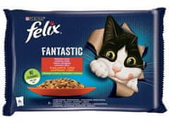 ALL FOR CATS Felix Fantastic Venkovské Příchutě Hovězí/Kuřecí V Želé Sáčky 4X85G