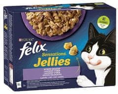 ALL FOR CATS Felix Sensations Mix V Želé Sáčky 12X85G