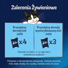 ALL FOR CATS Felix Fantastic Hovězí V Želé Sáček 85G
