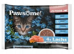 ALL FOR CATS Pawsome Junior Lachs - Losos Sáčky 4X85G