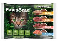 ALL FOR CATS Pawsome Mixpack Sáčky 4X85G