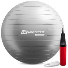 Hs Hop-Sport Gymnastický míč fitness 75cm s pumpou - stříbrný