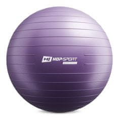 Hs Hop-Sport Gymnastický míč 75cm s pumpou - fialový
