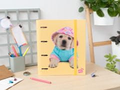CurePink Kroužkový pořadač Studio Pets: Psí obleček (28 x 32 x 4 cm)