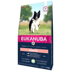 Eukanuba Krmivo Senior Small & Medium Lamb 2,5kg