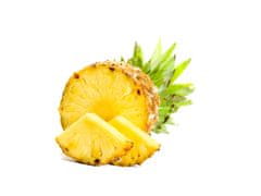 LifeLike LifeLike Lyofilizovaný ananas 20g