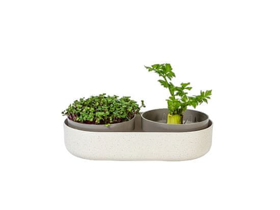 Plastia Klíčící miska microgreens + regrow - slonová kost s kávovou sedlinou