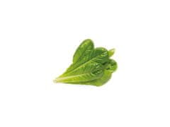 Click and Grow římský salát, kapsle se semínky a substrátem 9ks