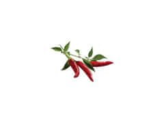 Click and Grow chilli papričky, kapsle se semínky a substrátem 3ks