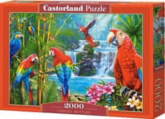 Castorland Puzzle Setkání papoušků 2000 dílků