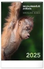 Presco Publishing NOTIQUE Nástěnný kalendář Nejzajímavější zvířata 2025, 33 x 46 cm