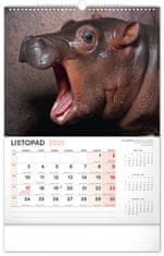 NOTIQUE Nástěnný kalendář Nejzajímavější zvířata 2025, 33 x 46 cm