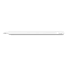 Apple Pencil (USB-C) / SK