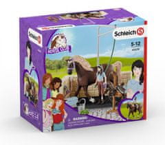 Schleich Horse Club 42438 Mycí box s Emily a Lunou