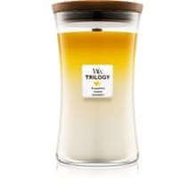 Woodwick WoodWick - Fruits from Summer Trilogy Vase - Summer scented candle 275.0g 