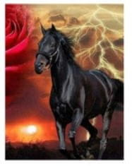 Norimpex Diamantová mozaika Black Lightning Horse, Rose 40X30 cm