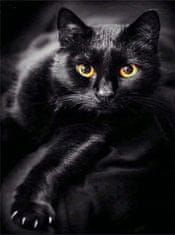 Norimpex Diamantová mozaika Černá kočka na černých šatech 30 X40