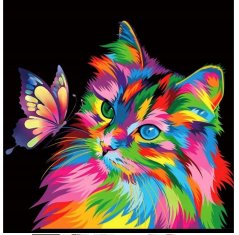 Norimpex Diamantová mozaika kočka barva s motýlem černé pozadí 