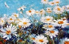 Norimpex Diamantová mozaika Daisy Flowers Blue Sky 30X40 cm