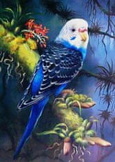 Norimpex Diamantová mozaika Parrot Blue 30X40 cm