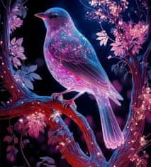 Norimpex Diamantová mozaika Magic Bird by Night 30X40