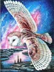 Norimpex Diamantová mozaika Owl Lot 30X40