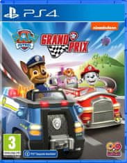 PlayStation Studios Paw Patrol: Grand Prix (PS4)