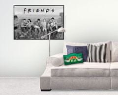 CurePink Polštář Friends|Přátelé: Central Perk (37 x 23 x 8 cm)