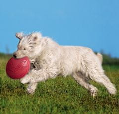 Trixie Frisbee Disk Dog Disc 18Cm [Tx-33501]