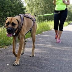 DINGO Vodítko Na Běhání - Páska S Tlumičem 170Cm S Karabinami Kouzla