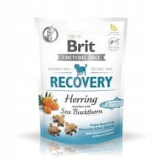 Brit Functional Snack Recovery Herring 150G