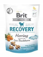 Brit Functional Snack Recovery Herring 150G