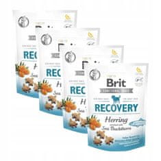 Brit Functional Snack Recovery Herring 150G