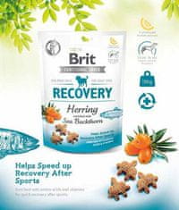 Brit Functional Snack Recovery Herring 150G