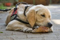 4DOGS Balto Divoká Kůže Úseky 15Cm 250G