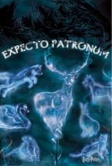CurePink Plakát Harry Potter: Patronus (61 x 91,5 cm)