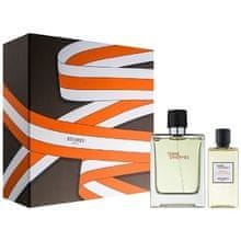 Hermès Hermes - Terre D´Hermes Gift set EDT 100 ml and shower gel 80 ml 100ml 