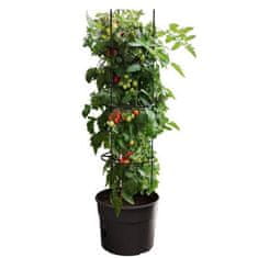 Prosperplast Květináč na pěstování rajčat TOMATO GROWER, 29,5 cm, max. výška: 115,2 cm, antracit
